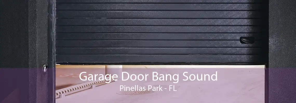 Garage Door Bang Sound Pinellas Park - FL