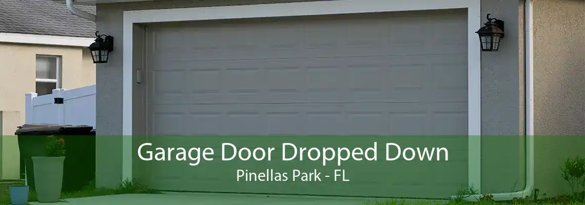 Garage Door Dropped Down Pinellas Park - FL