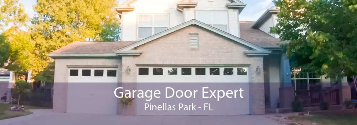 Garage Door Expert Pinellas Park - FL