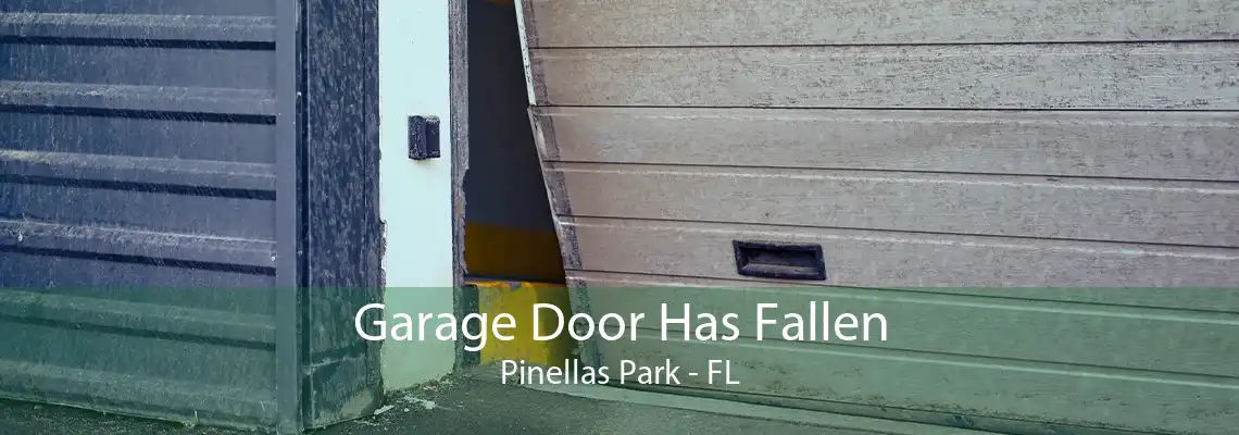 Garage Door Has Fallen Pinellas Park - FL