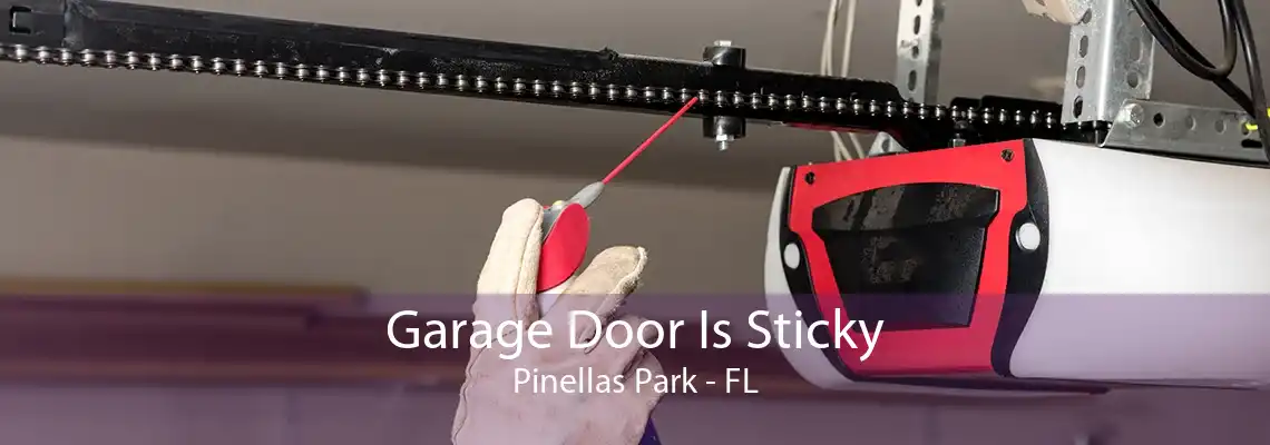 Garage Door Is Sticky Pinellas Park - FL