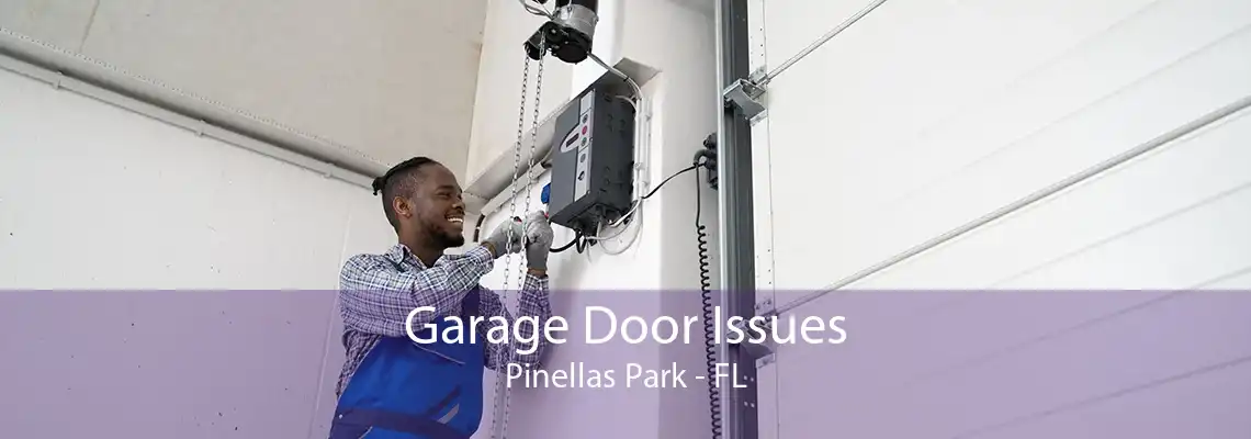 Garage Door Issues Pinellas Park - FL