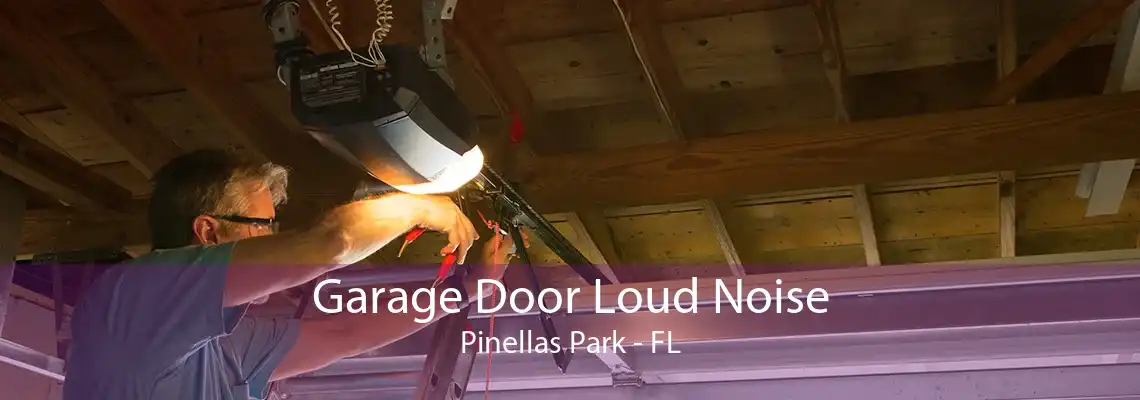 Garage Door Loud Noise Pinellas Park - FL