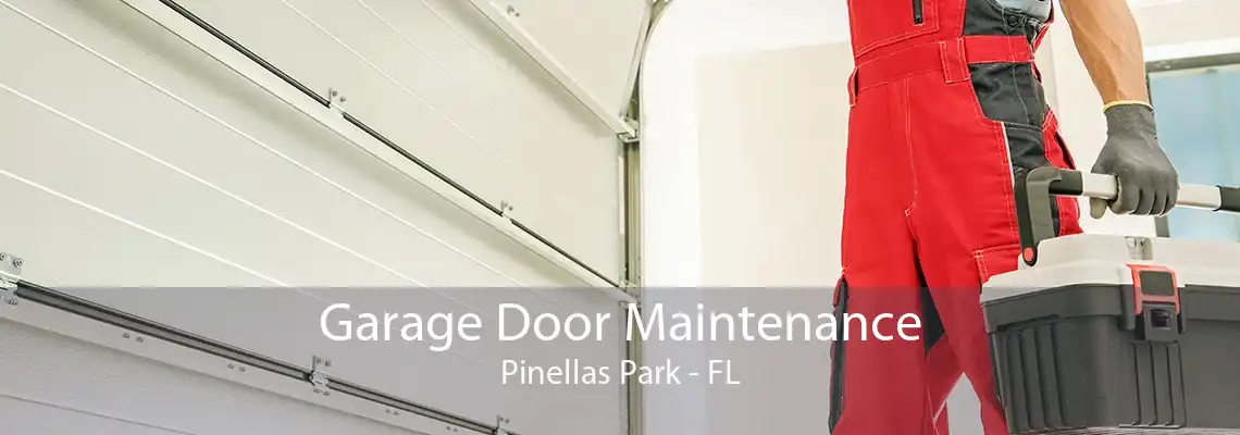 Garage Door Maintenance Pinellas Park - FL