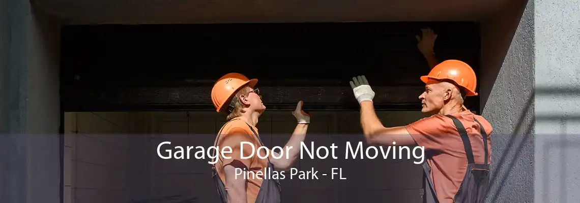 Garage Door Not Moving Pinellas Park - FL