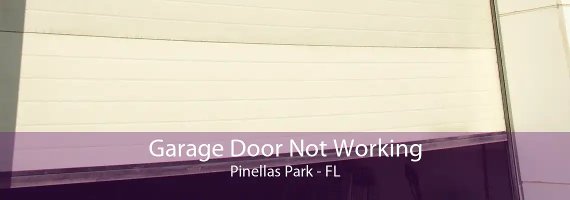 Garage Door Not Working Pinellas Park - FL