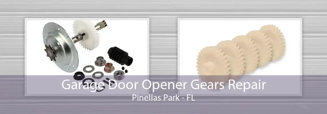 Garage Door Opener Gears Repair Pinellas Park - FL