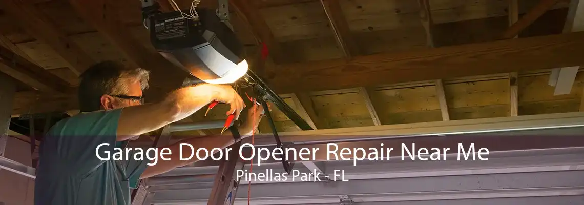 Garage Door Opener Repair Near Me Pinellas Park - FL