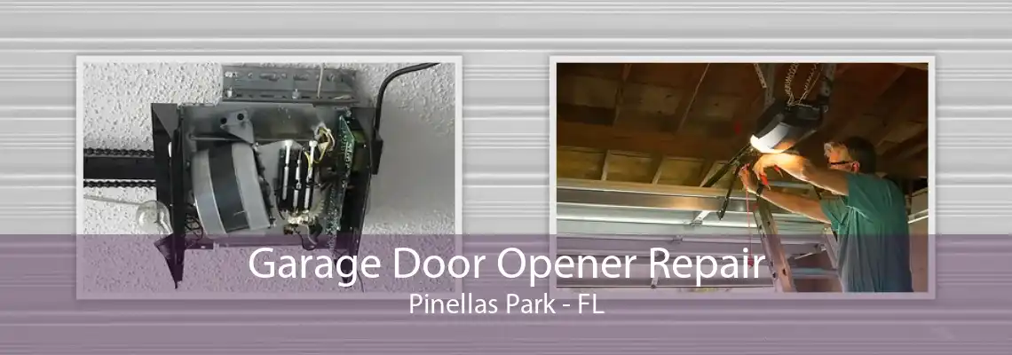 Garage Door Opener Repair Pinellas Park - FL