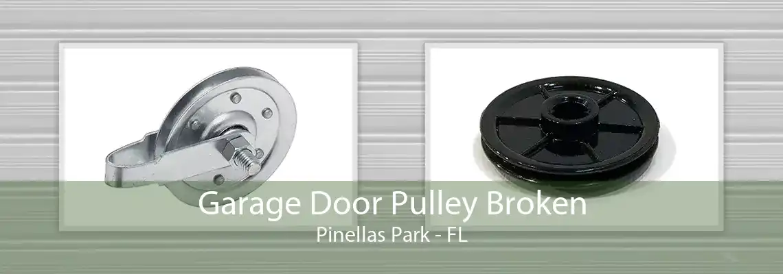 Garage Door Pulley Broken Pinellas Park - FL