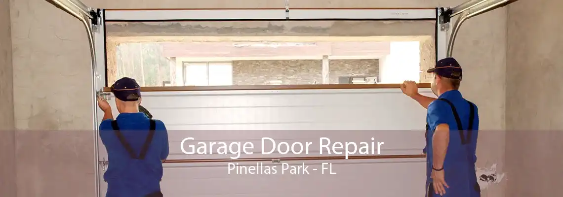 Garage Door Repair Pinellas Park - FL