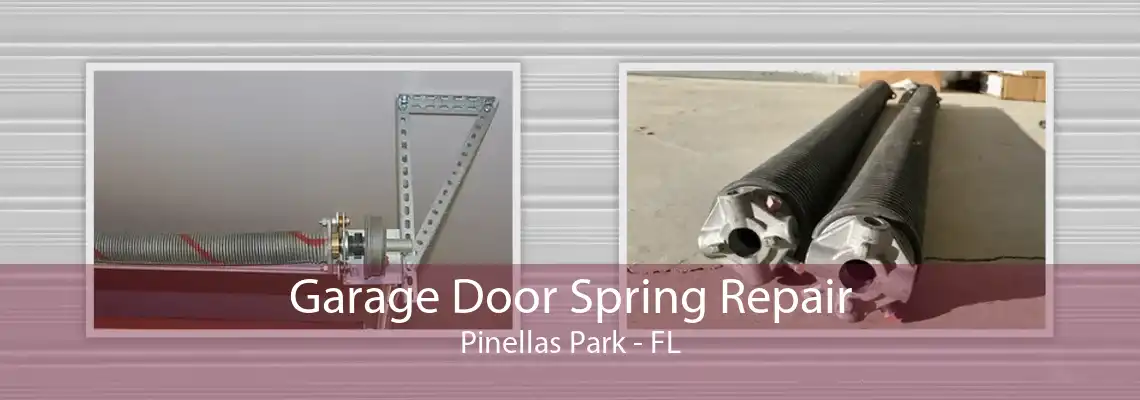 Garage Door Spring Repair Pinellas Park - FL