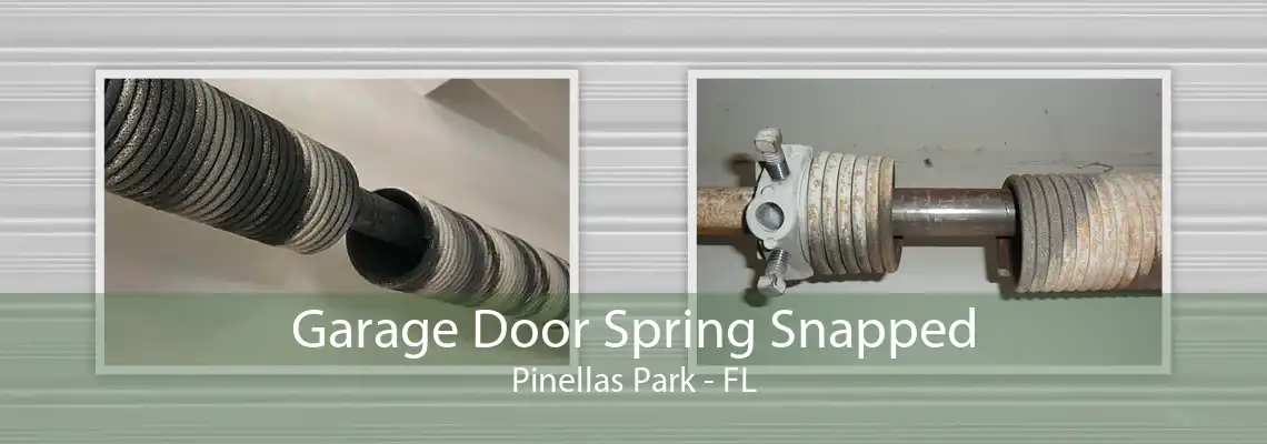 Garage Door Spring Snapped Pinellas Park - FL