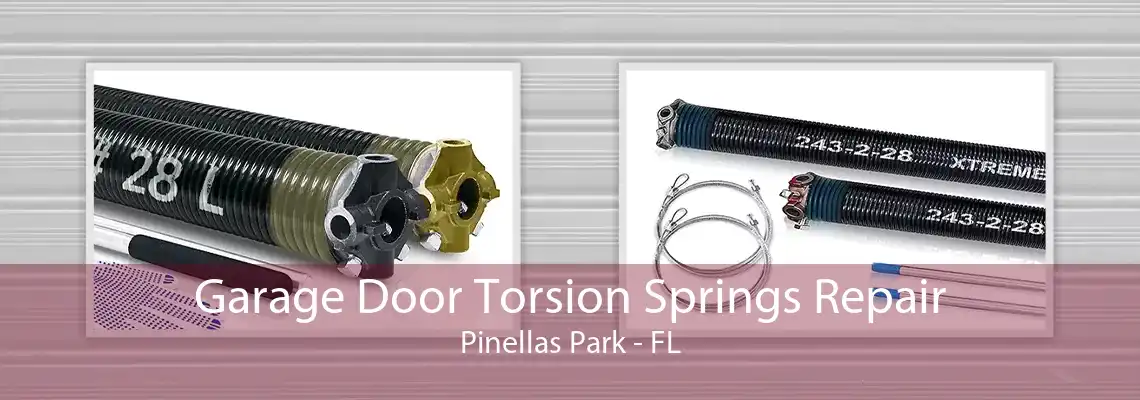 Garage Door Torsion Springs Repair Pinellas Park - FL