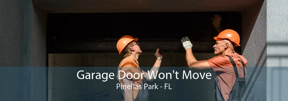 Garage Door Won't Move Pinellas Park - FL