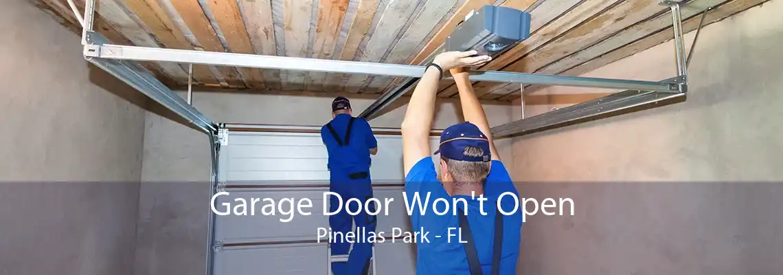 Garage Door Won't Open Pinellas Park - FL