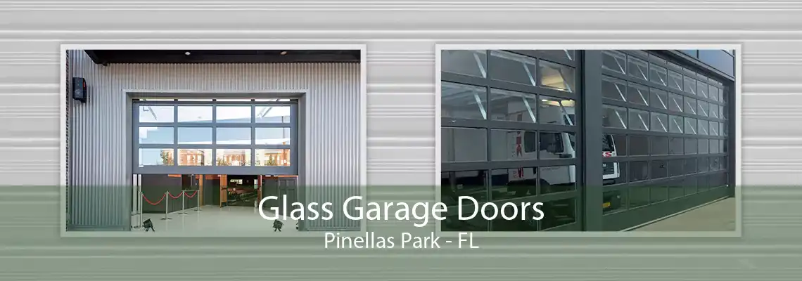 Glass Garage Doors Pinellas Park - FL