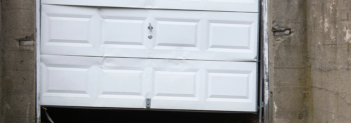 Garage Door Got Hit By A Car Dent Removal in Pinellas Park, FL