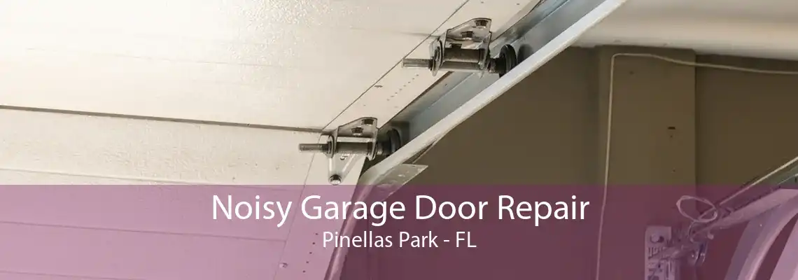 Noisy Garage Door Repair Pinellas Park - FL