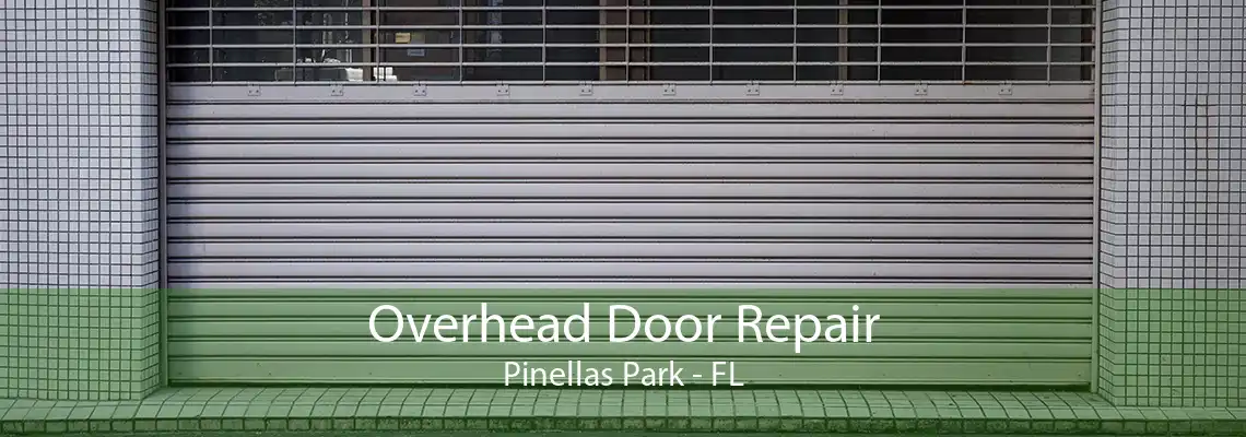 Overhead Door Repair Pinellas Park - FL